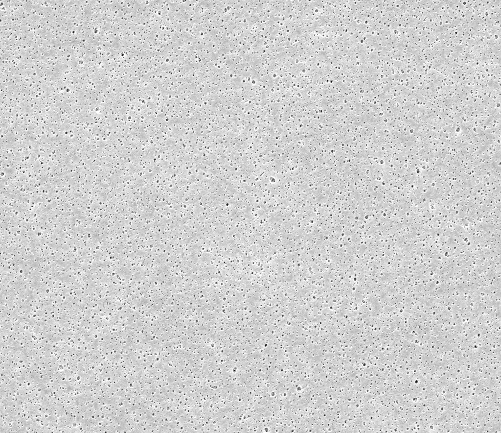 3M™ MicroPES™ 1F EL Series Flat Sheet Membrane, Microscopic Image
