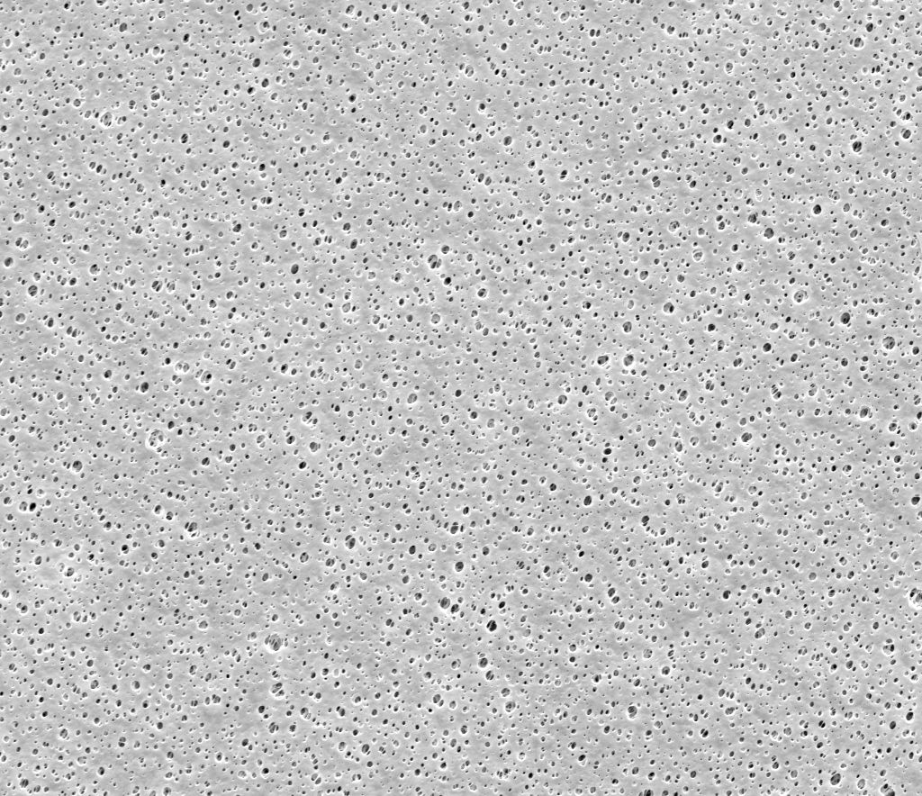 3M™ MicroPES™ 2F iV Series Flat Sheet Membrane, Microscopic Image
