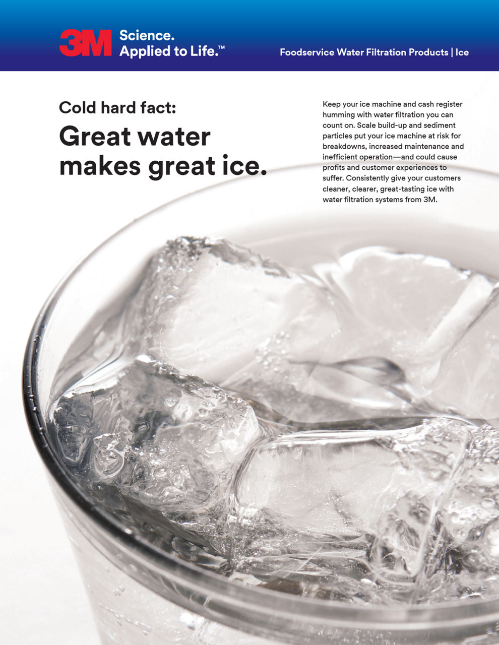 3M SPSD Ice Brochure 70-2016-0009-8_1120.indd