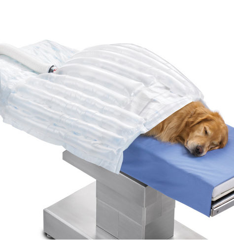 3M™ Bair Hugger™ Animal Health Overbody Blanket