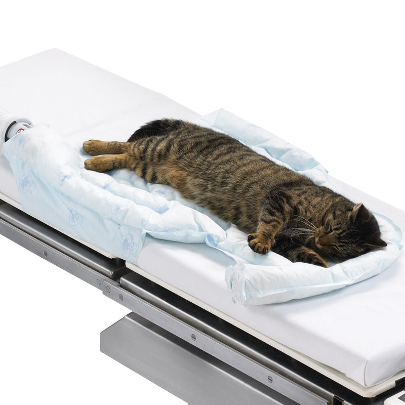 3M™ Bair Hugger™ Animal Health Underbody Blanket