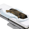 3M™ Bair Hugger™ Warming Blanket 55577, Vet Underbody, 10/Case