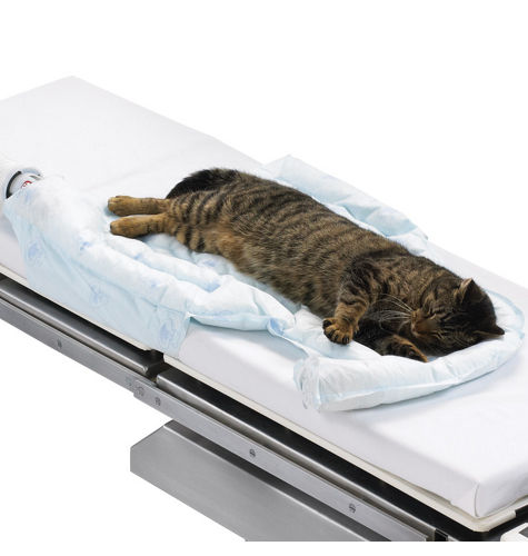 3M™ Bair Hugger™ Animal Health Underbody Blanket