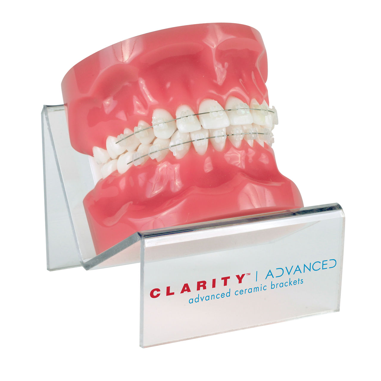 3M™ Typodont with Stand, 3M™ Clarity™ Advanced Ceramic Brackets