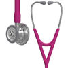 3M™ Littmann® Cardiology IV™ Stethoscope, 6158, Standard-FinishChestpiece, Raspberry Tube, Stainless Stem, 3 Each/Case