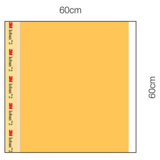 3M™ Ioban™ 2 Antimicrobial Incise Drape, 6648EZSB, 60 cm x 60 cm (23 in x 23 in), 75 Each/Case