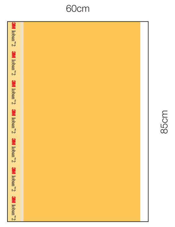 3M™ Ioban™ 2 Antimicrobial Incise Drape, 6651EZSB, 60 CM x 85 CM, 23 IN x 33 IN, 50 Each/Case