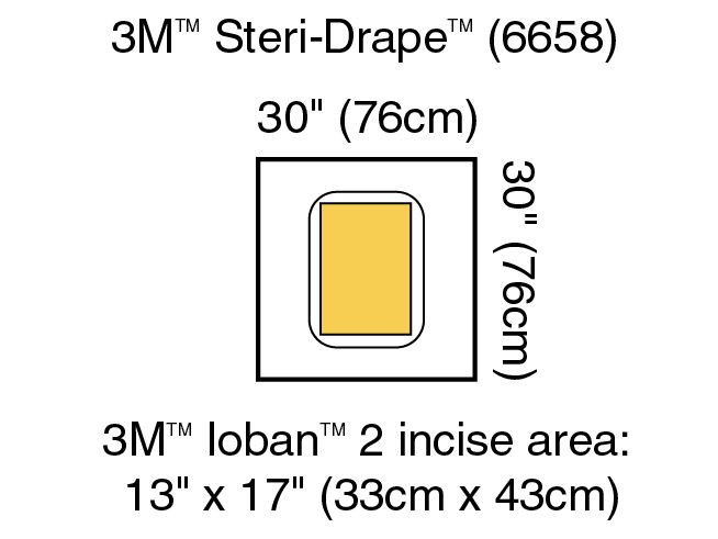 Lg Pouch w Ioban 2 Incise Film Clr Plastic Illus 6658