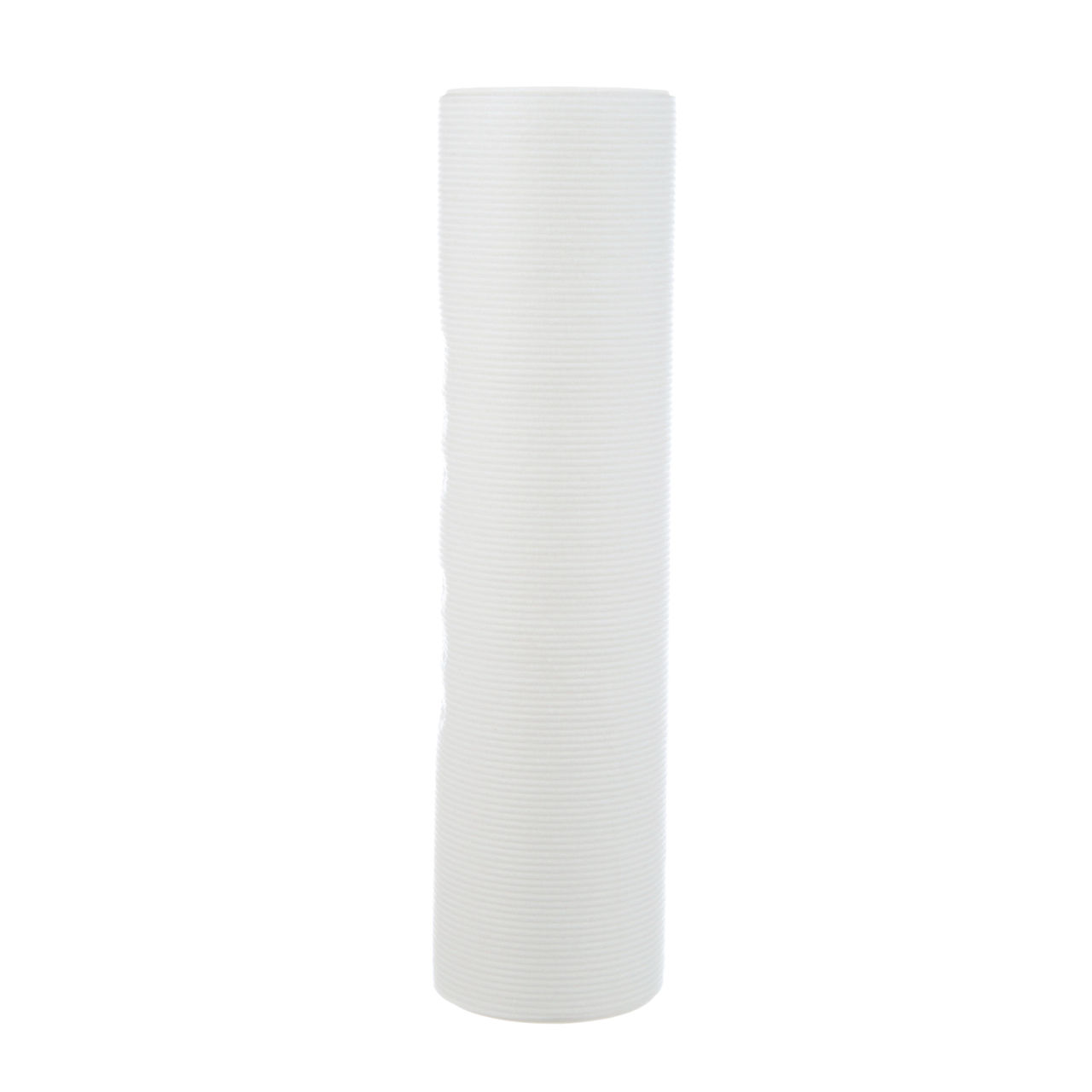 3M™ Aqua-Pure™ AP100 Series Whole House Water Filter Drop-in CartridgeAP1001, 5566601, Standard, 1 µ, 2 Pack, 6/Caisse