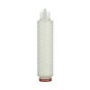 3M™ LifeASSURE™ BLA Series Filter Cartridge, BLA045B01BA, 10 in, 0.45um, 226/Spear, Silicone, 6/Case