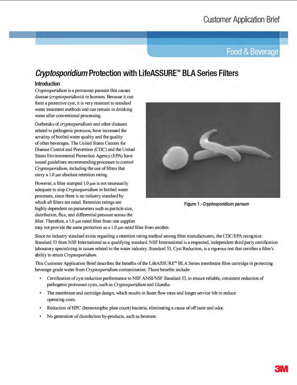 Cryptosporidium Protection with LifeASSURE™BLA Series Filters 