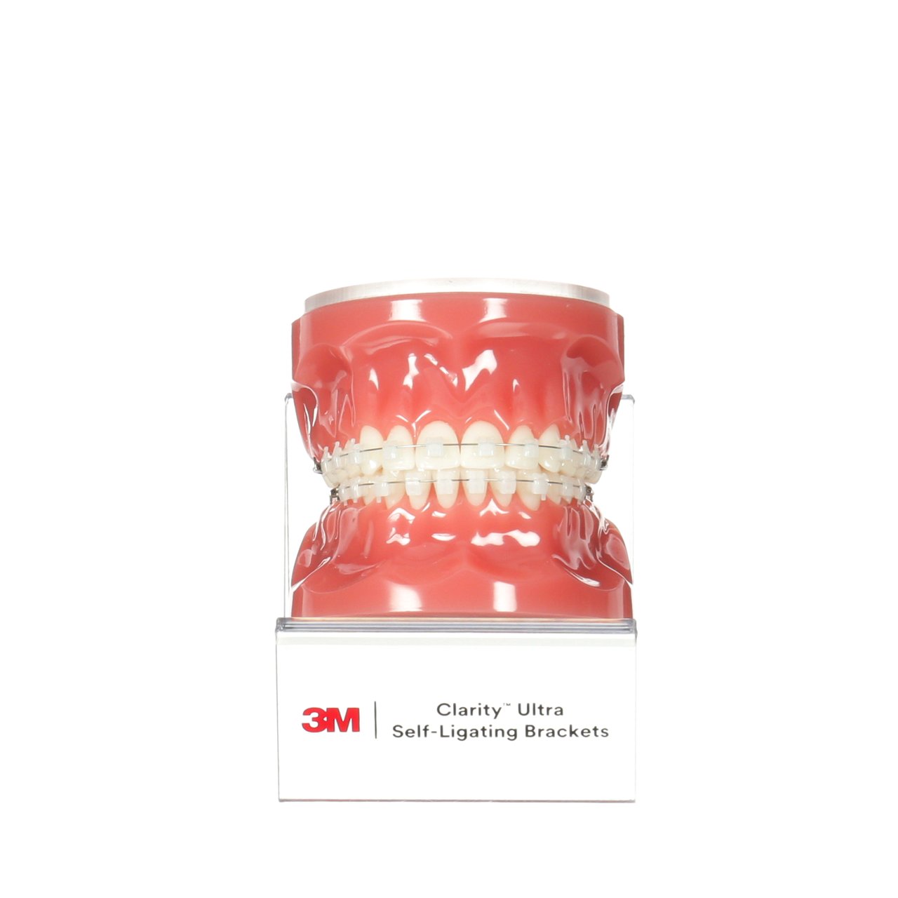 3M™ Clarity™ Ultra Self-Ligating Bracket Typodont - Top