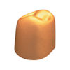 3M™ Gold Anodized Temporary Bicuspid Crowns, 940540, Lower Right FirstBicuspid, Size 0, 5 Crowns