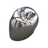 3M™ Iso-Form™ Temporary Bicuspid Crowns, L45, Lower Left First Bicuspid,5 Crowns