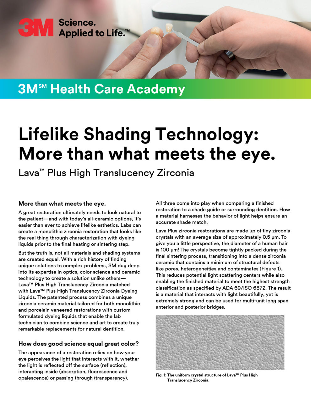 3MSM  Health Care Academy 