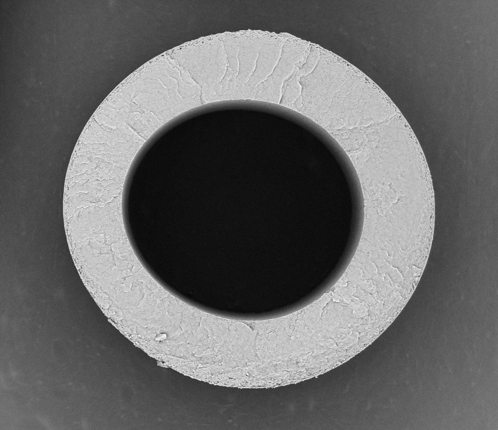 3M™ MF-PP S6/4 Series Capillary Membrane, Microscopic Image