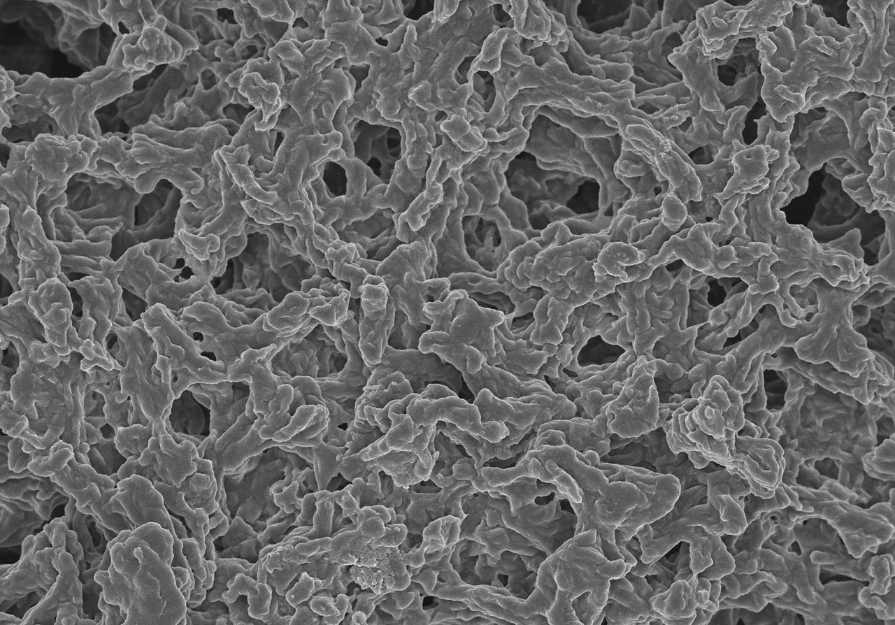 显微镜下的膜图像