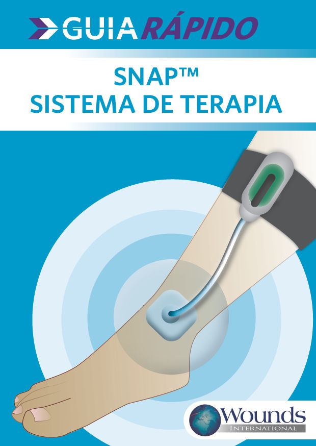 Pré-visualização da capa da monografia do produto Snap Therapy