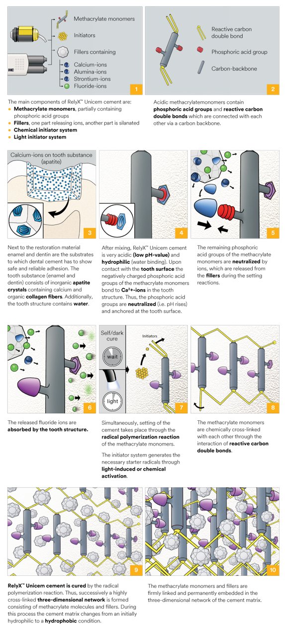 Informative oral care related imagery with a file name of Dr-Tosco-2.png shown on Solventum's "Brain Floss" blog