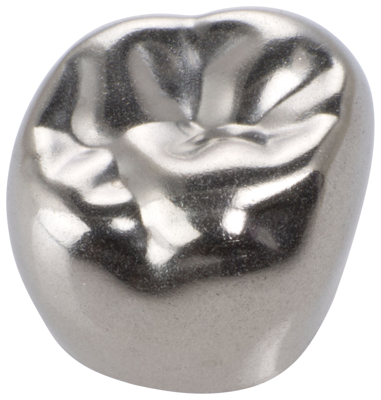 3M™ Stainless Steel First Permanent Molar Crown, Upper Right, 6-UR-5