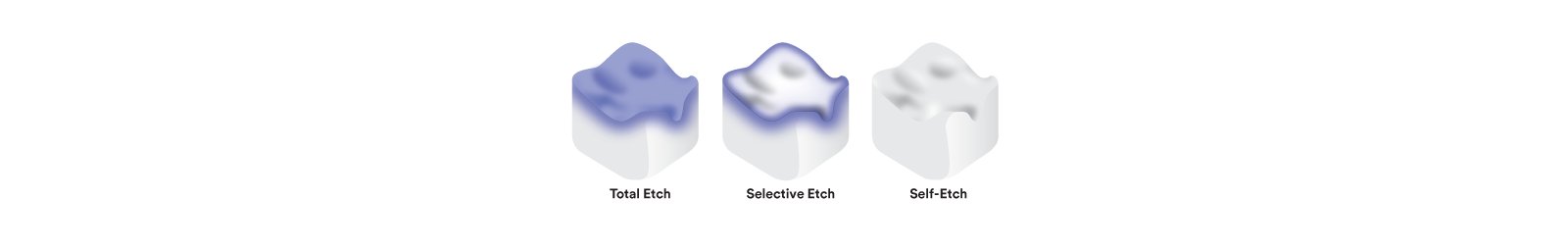 Informative oral care related imagery with a file name of 7_2_different_flowables-e1582222802965.jpg shown on Solventum's "Brain Floss" blog