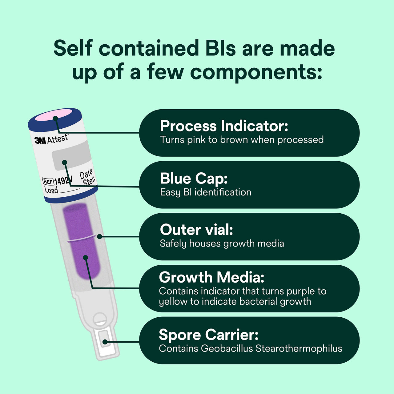 (5) BI components: process indicator, blue cap, outer vial, growth media, spore carrier