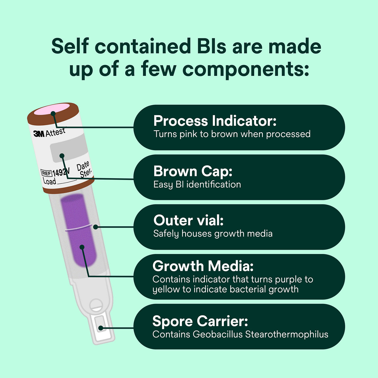 (5) BI components: process indicator, brown cap, outer vial, growth media, spore carrier