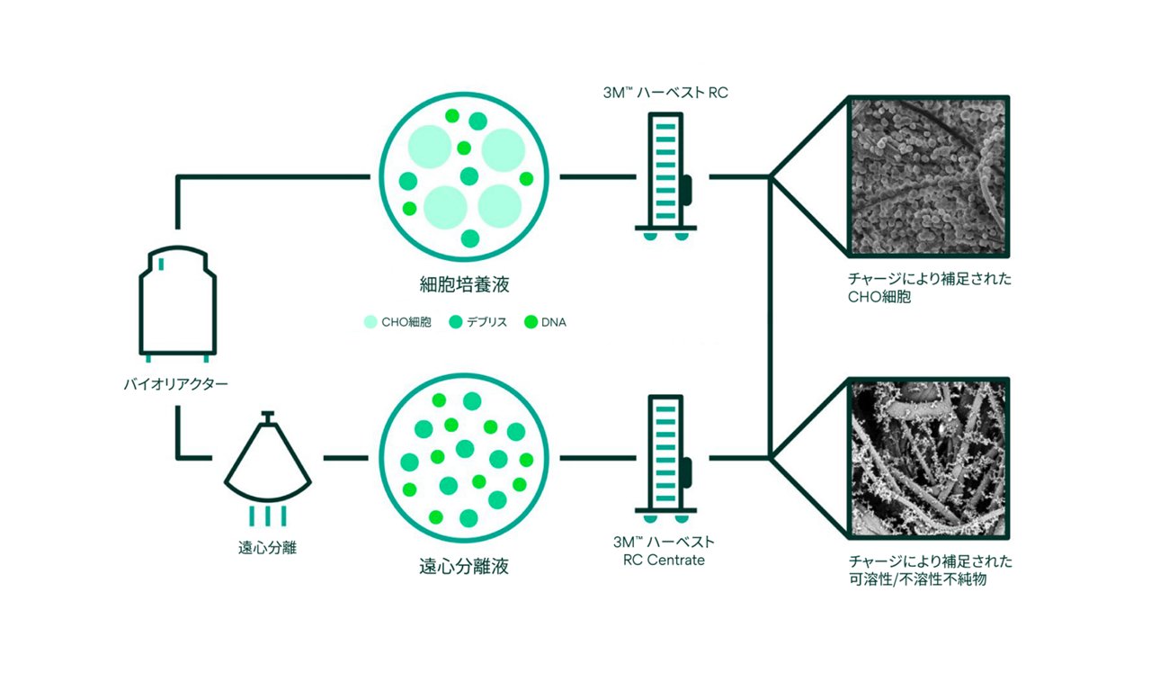 3M™ Harvest Chromatographic Clarifier プラットフォームのインフォグラフィック