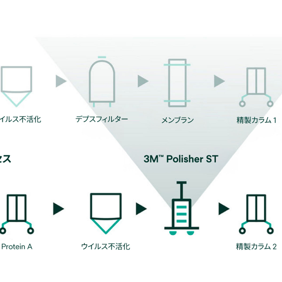3M™ ポリッシャーST