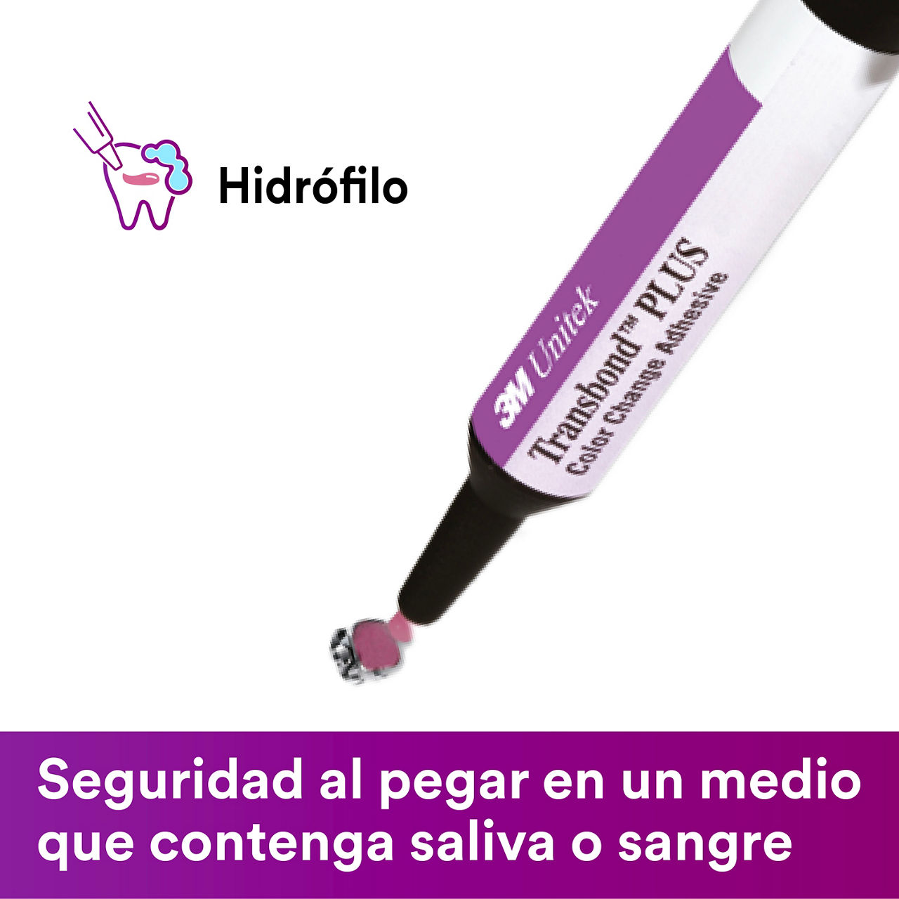 Imagenes SP para E-Commerce 14