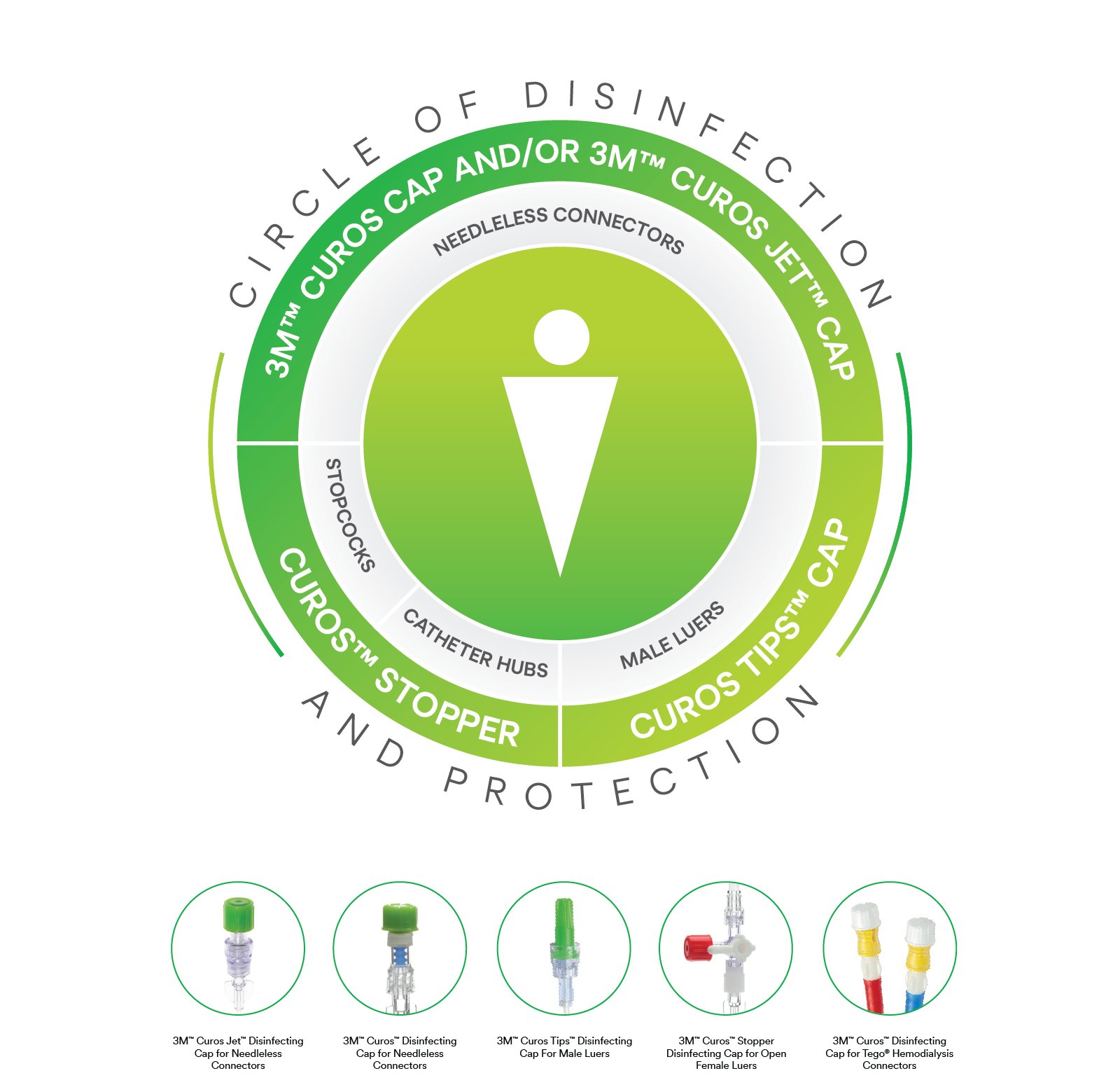 Infografía del círculo de desinfección y prevención, curos