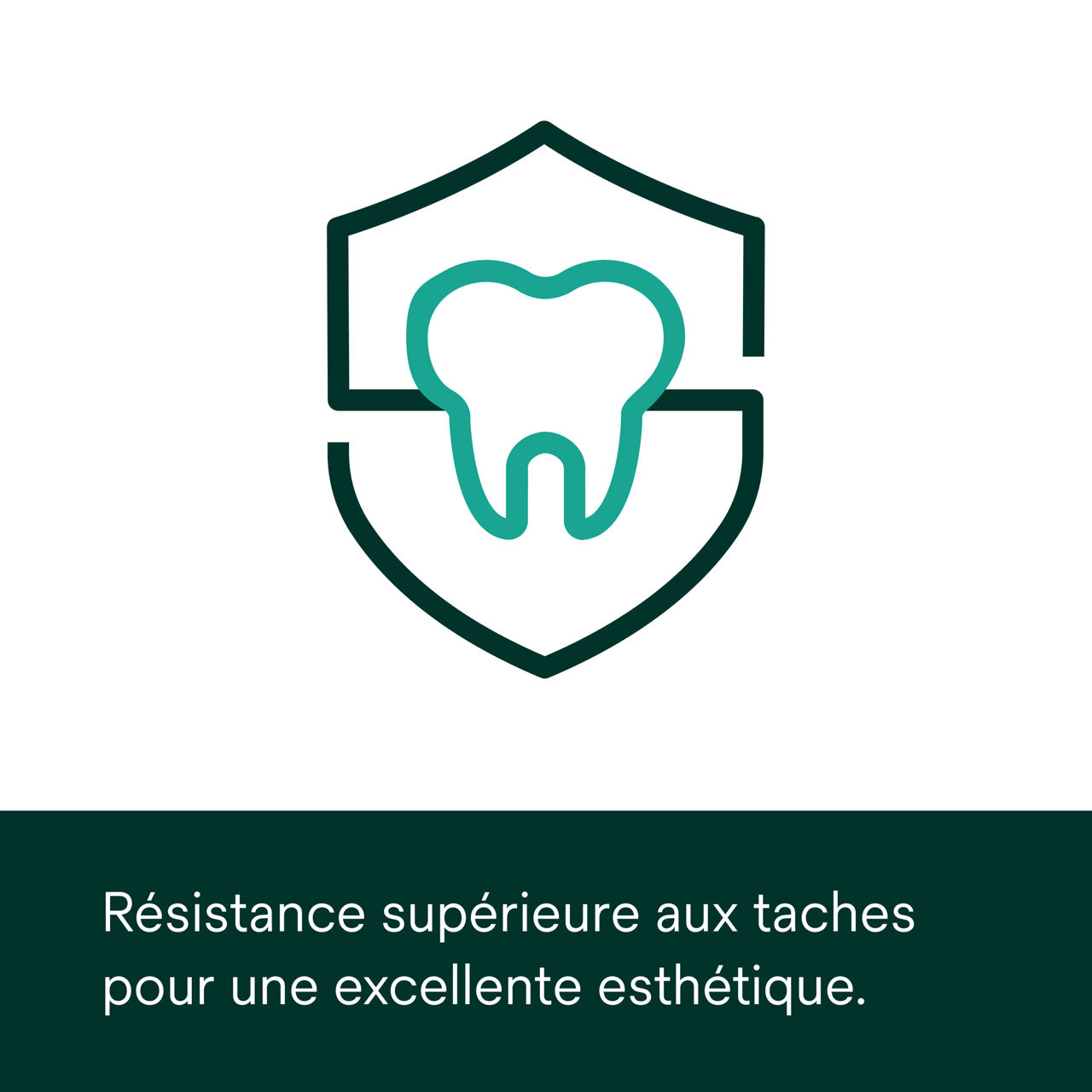 Image secondaire 3 du matériau de fixation Clarity™ PDP