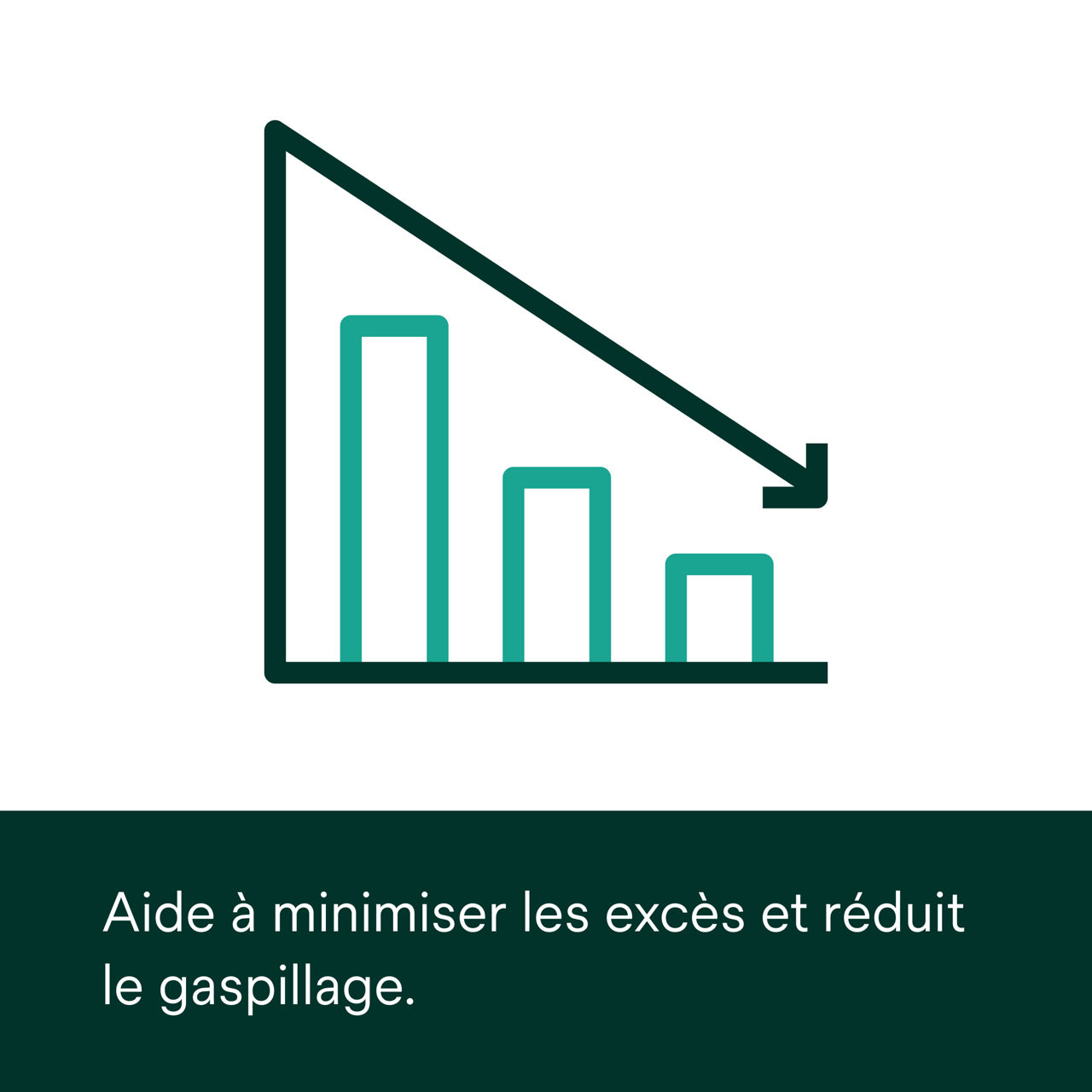 Image secondaire 4 du matériau de fixation Clarity™ PDP 