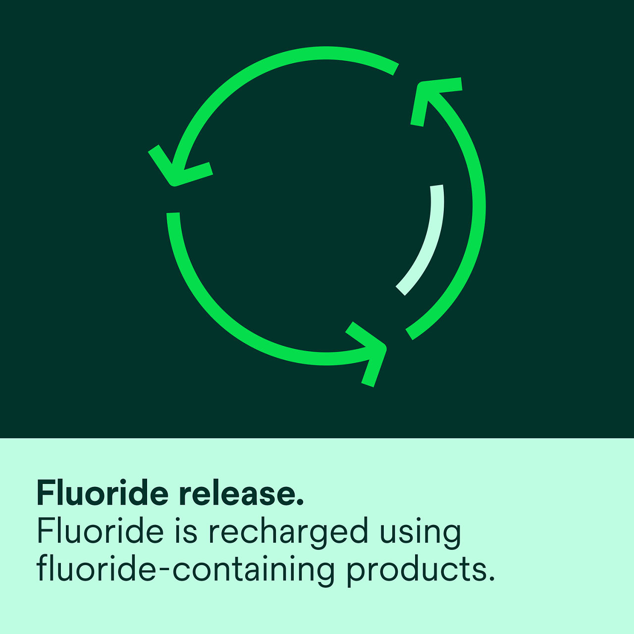 (5) Clinpro™ Sealant: Fluoride release fluoride is recharged using fluoride-containing products