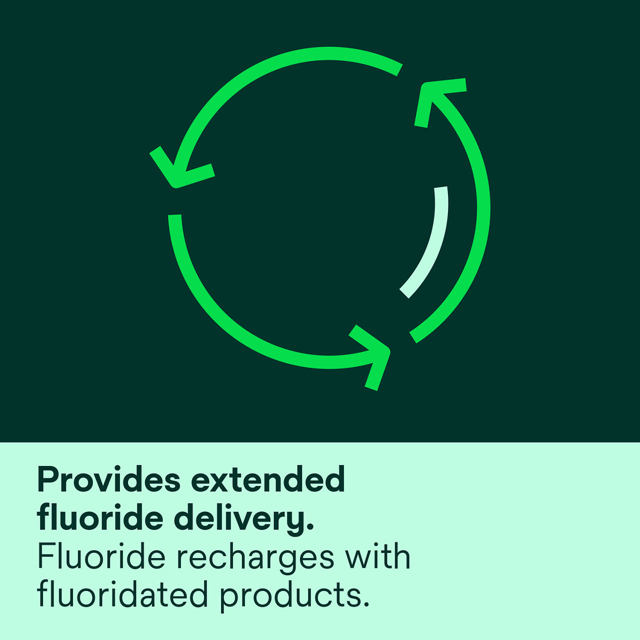 (3) Clinpro™ XT Varnish: provides extended fluoride delivery