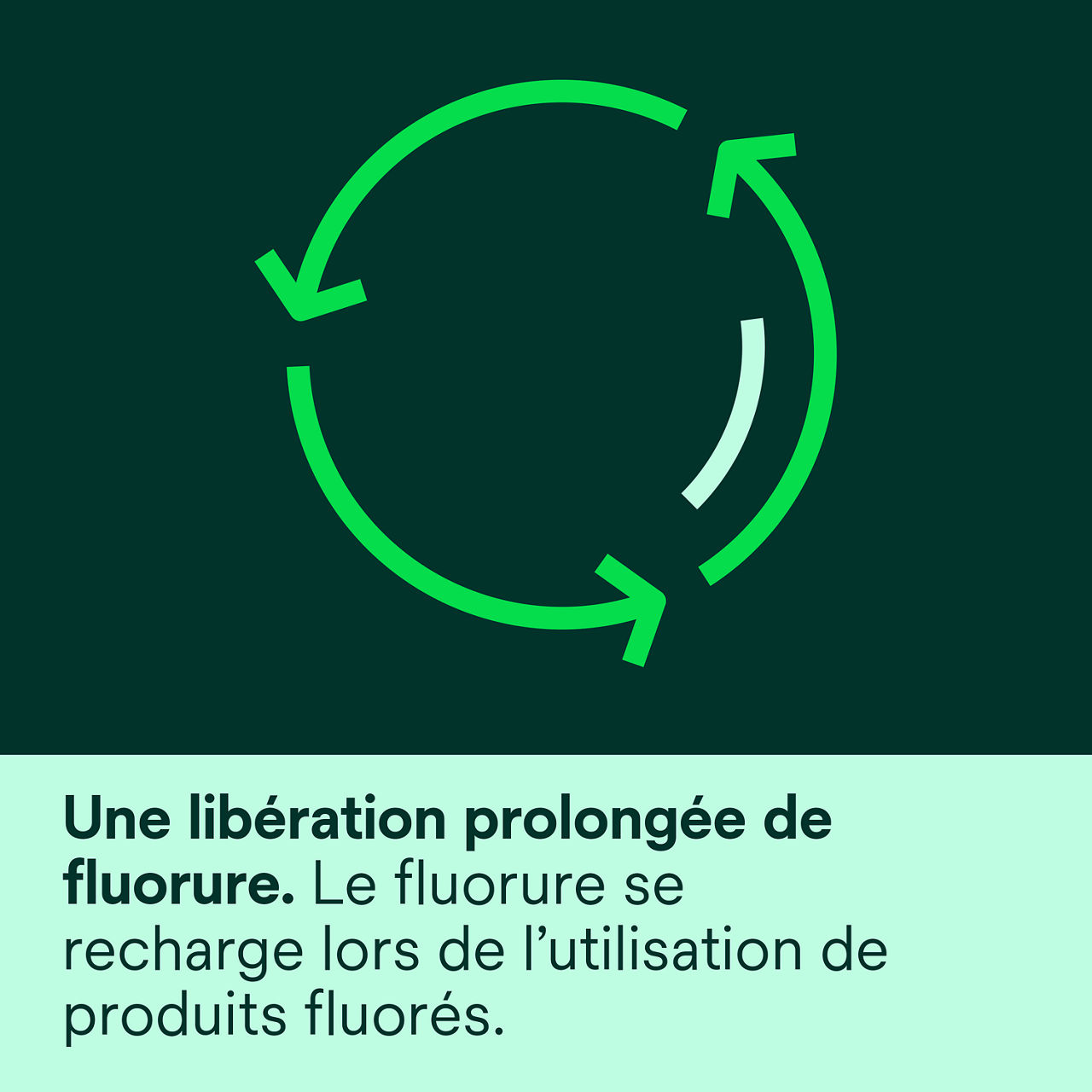 (3) Clinpro™ XT Varnish: fournit une livraison prolongée de fluorure