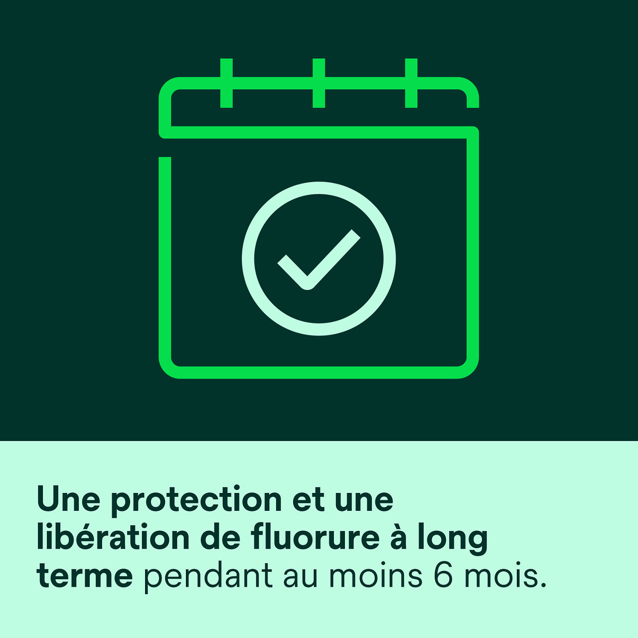 (6) Clinpro XT Varnish: Protection à long terme et apport en fluorure pendant 6 mois ou plus.