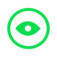 Icon illustrating an eyeball - light green