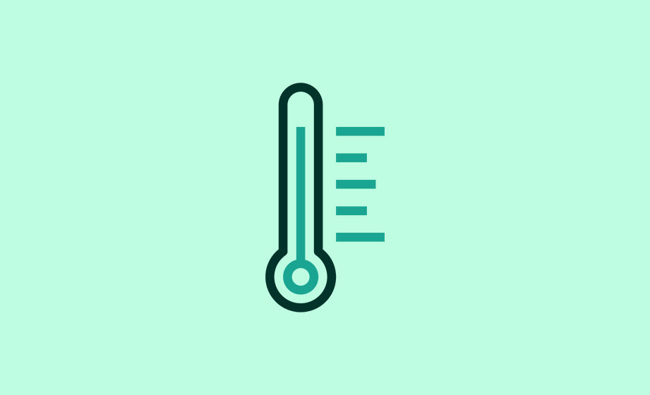 Thermometer icon