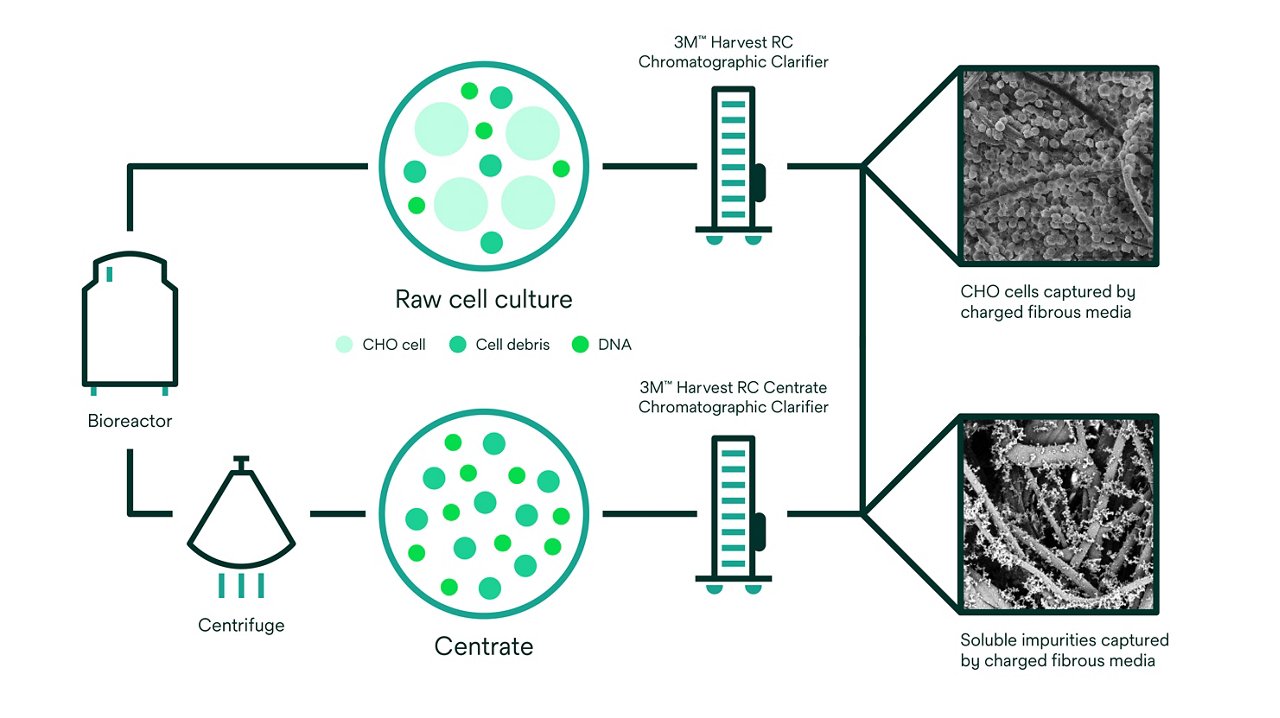 3M™ Harvest RC Chromatographic Clarifier platform infographic