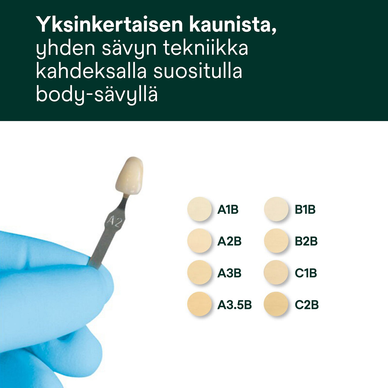 5- Filtek Supreme XTE: Yksinkertaisen kaunista –