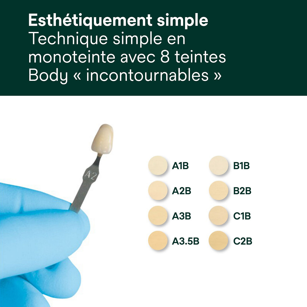 5- Filtek™ Supreme XTE: Esthétiquement simple