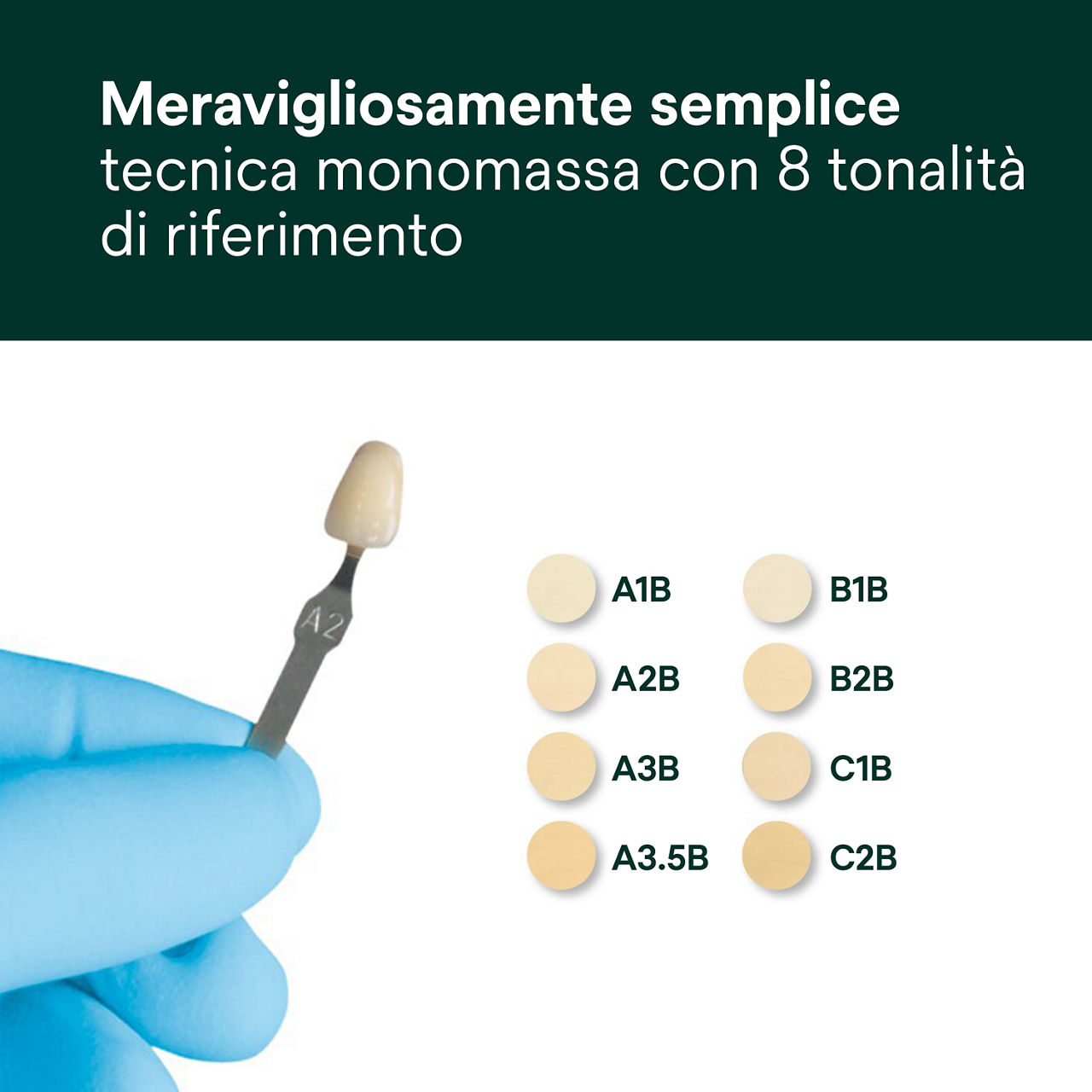 5- Filtek Supreme XTE: Meravigliosamente semplice: