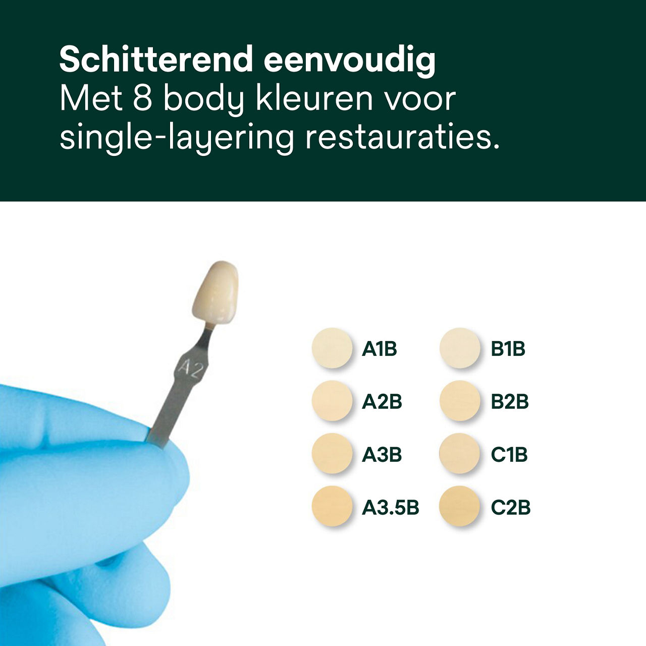 5- Filtek Supreme XTE:  Schitterend eenvoudig.