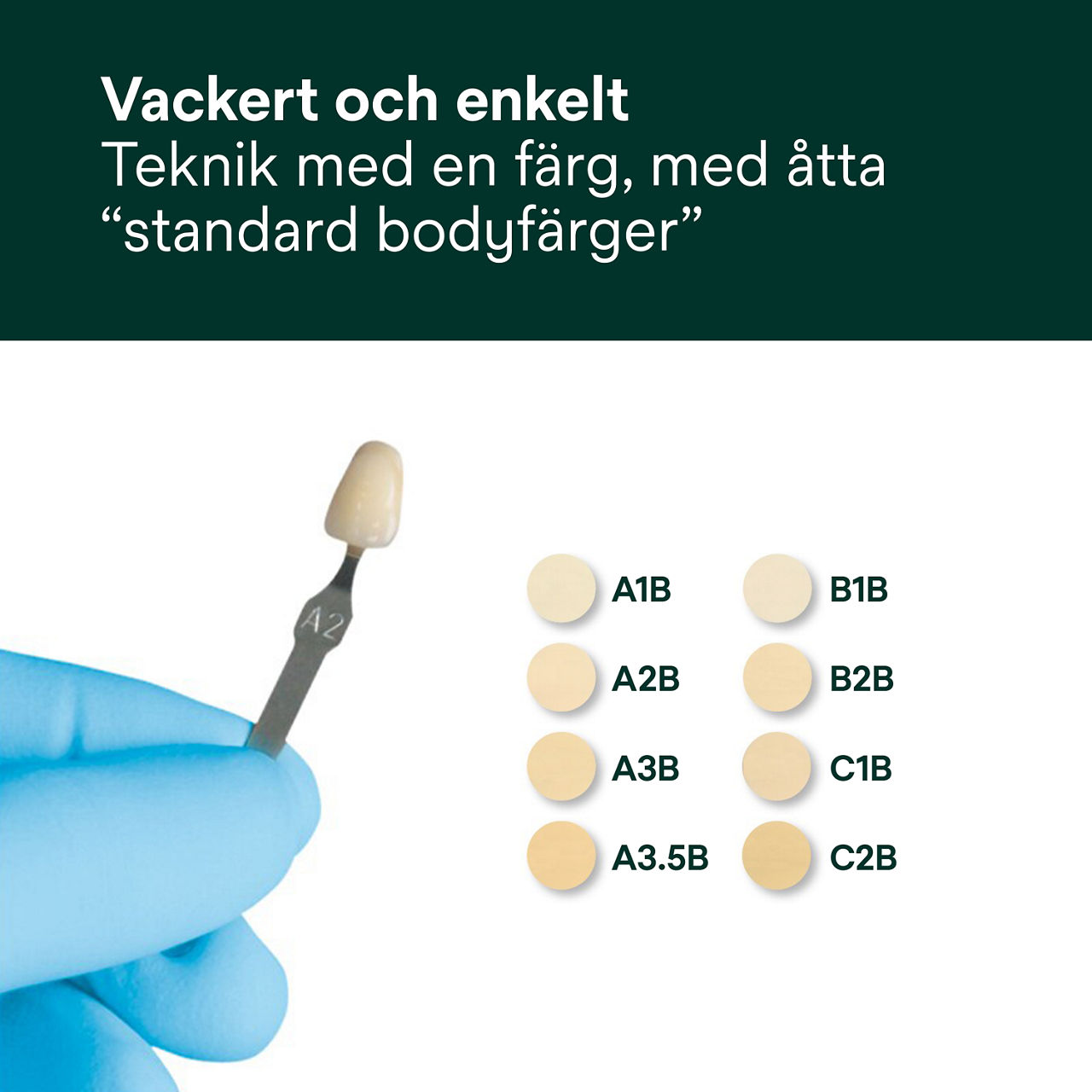 5- Filtek™ Supreme XTE: Vackert och enkelt
