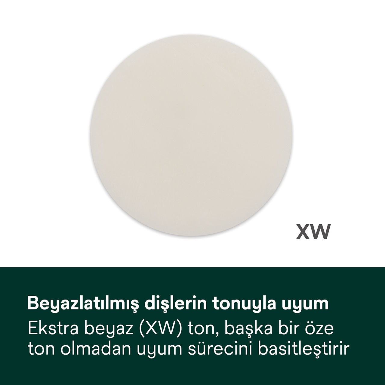 4- Filtek Universal: Beyazlatılmış dişlerin tonuyla uyum