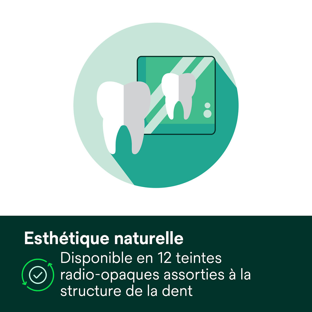 4- Filtek™ Z250 Universal: Esthétique naturelle.