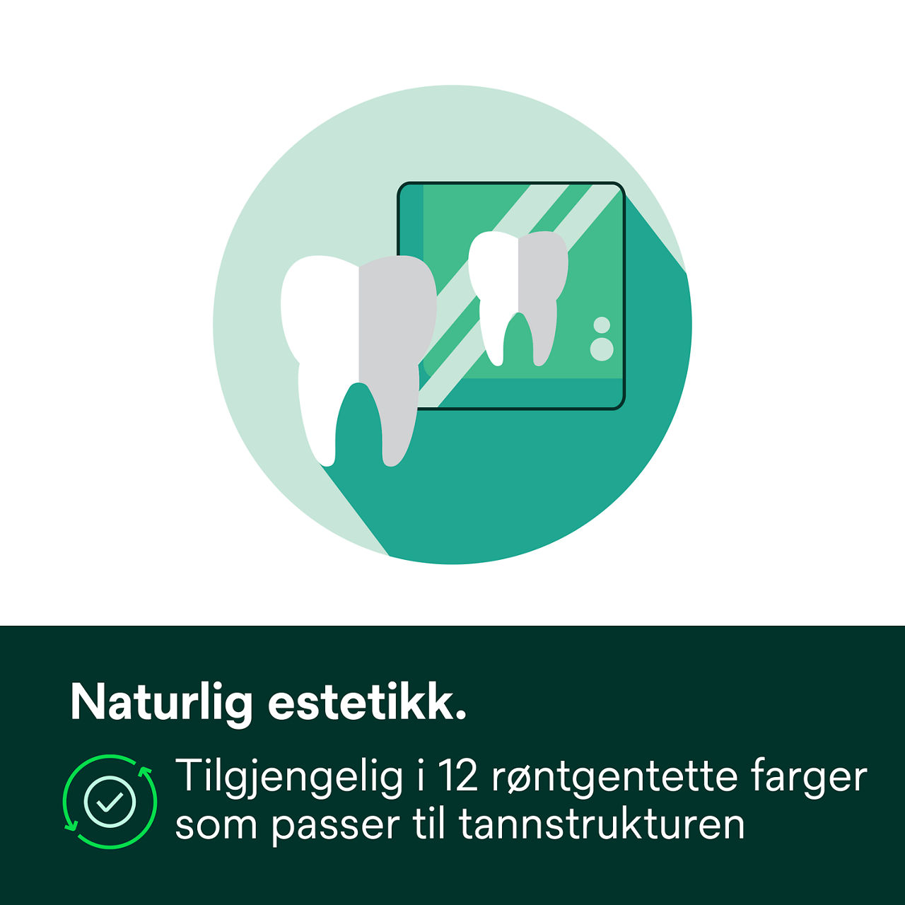 4- Filtek™ Z250 Universal:Naturlig estetikk.
