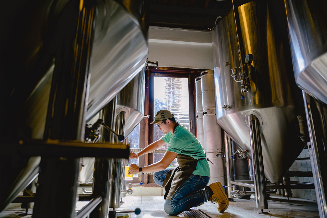 Young male brewer kneels on one knee to dispense beer into a glass to check the taste and color in a craft brewery.