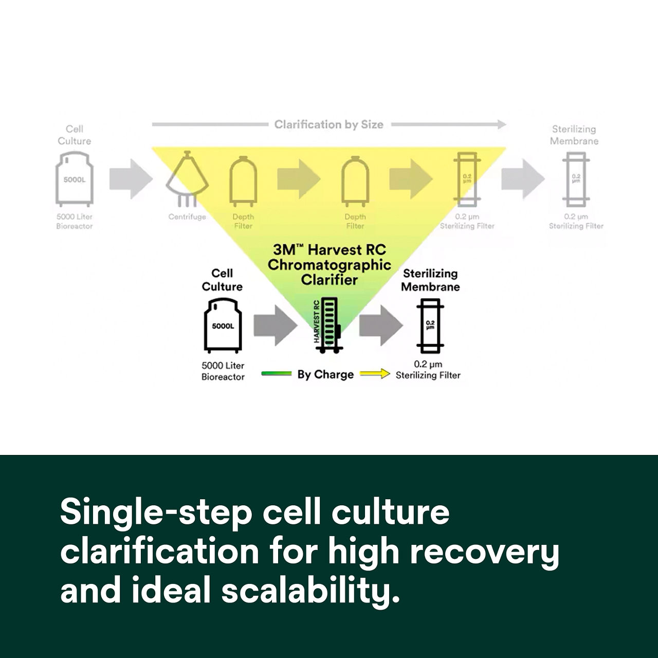 (2) Harvest RC Chromatographic Clarifier: Single-step cell culture for high recovery